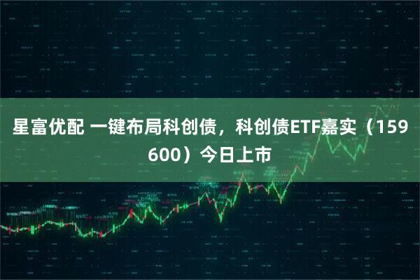 星富优配 一键布局科创债，科创债ETF嘉实（159600）今日上市